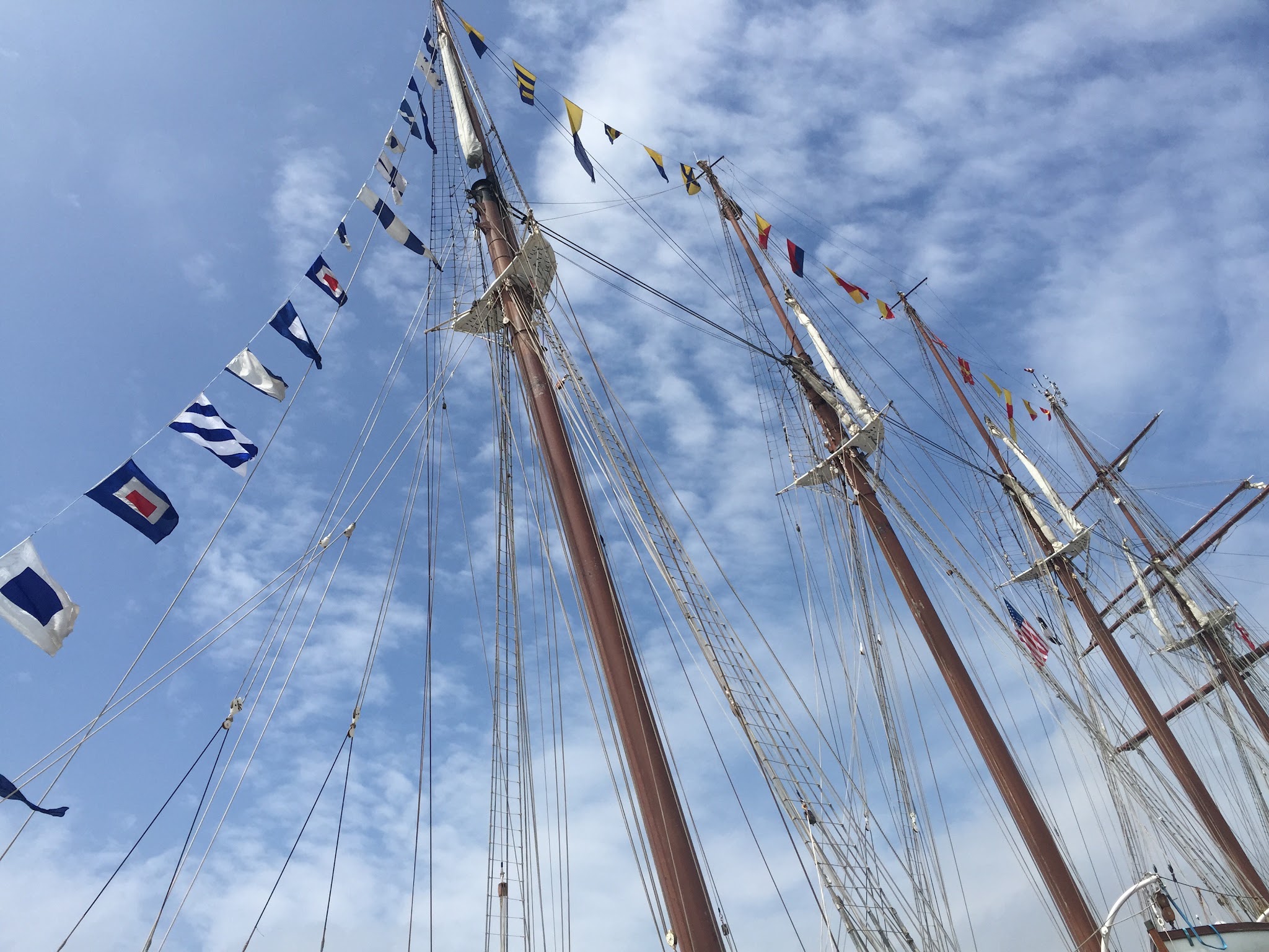 3rd tallest ship in the world