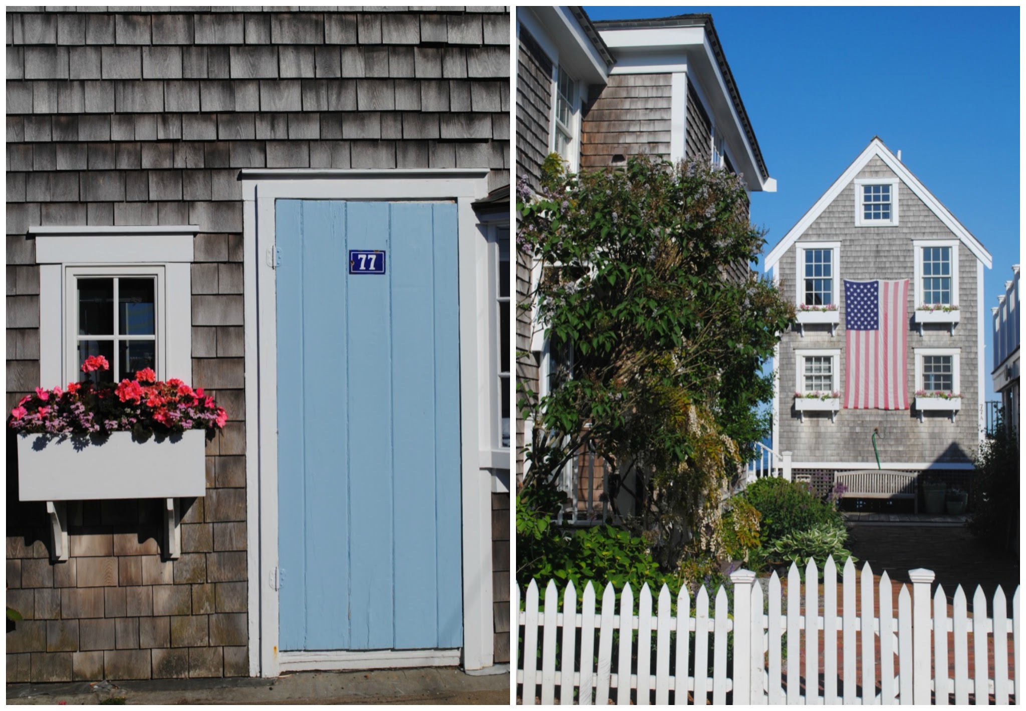 coastal adventures in provincetown — image 6