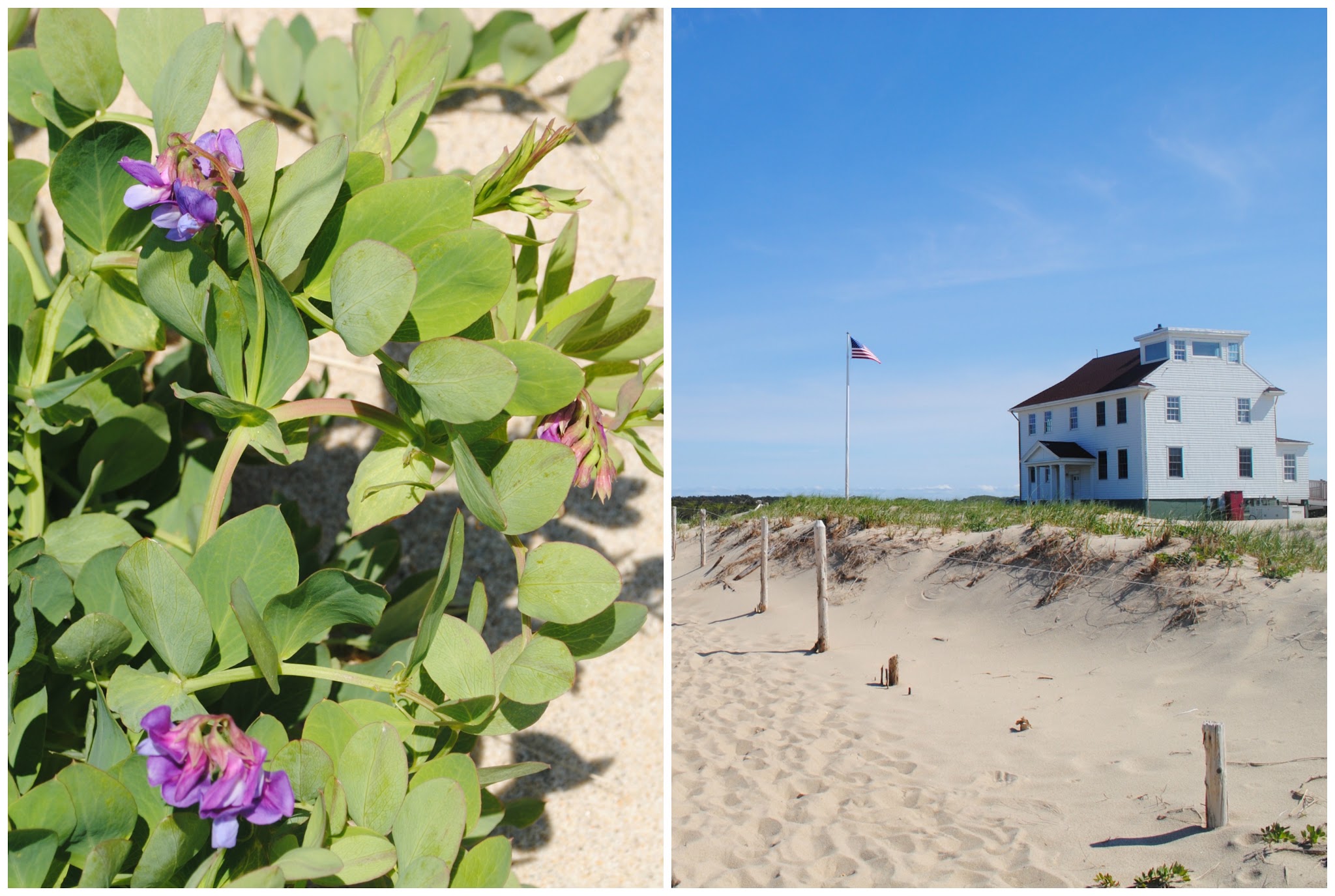 coastal adventures in provincetown — image 5