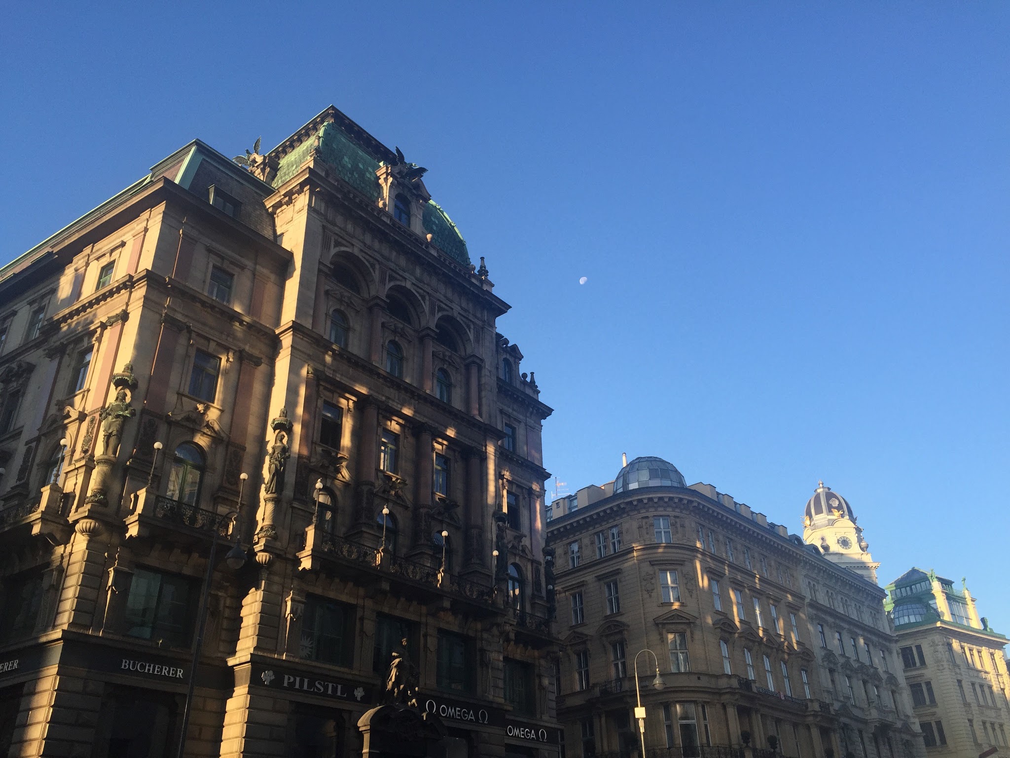 Farewell Vienna // Day 14 — image 7