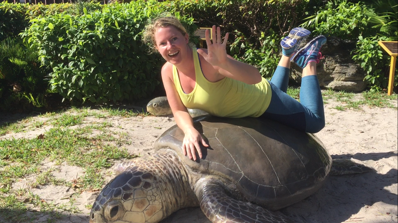 1 Alligator, 1 Manatee, 5 Turtles // Day 4 — image 10