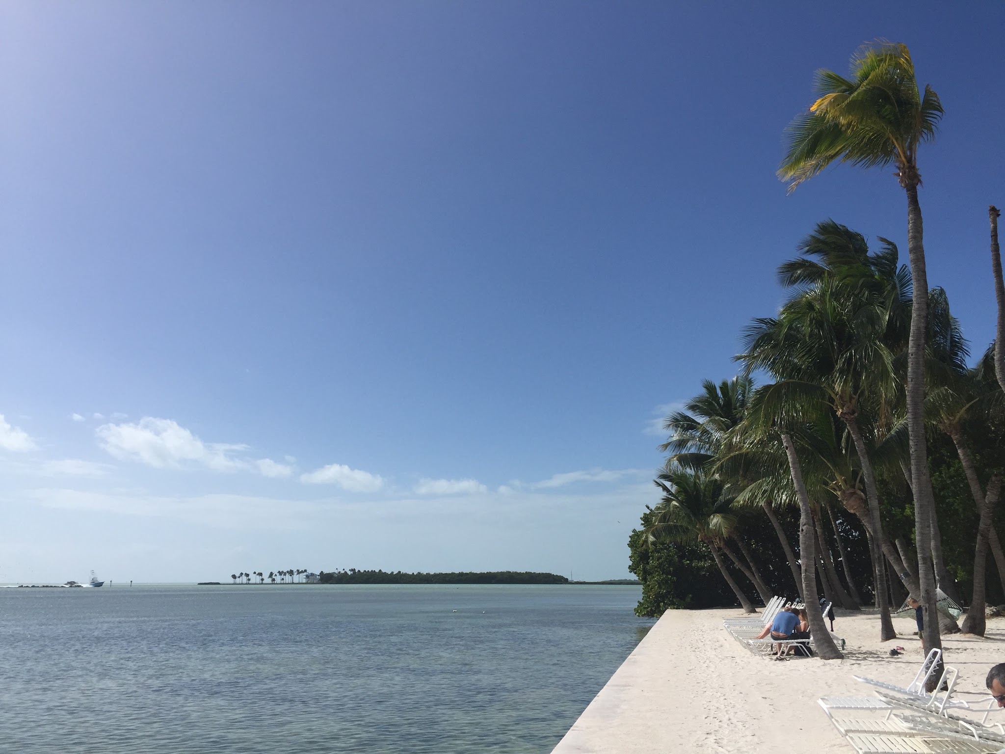 To the keys // Day 2 — image 2