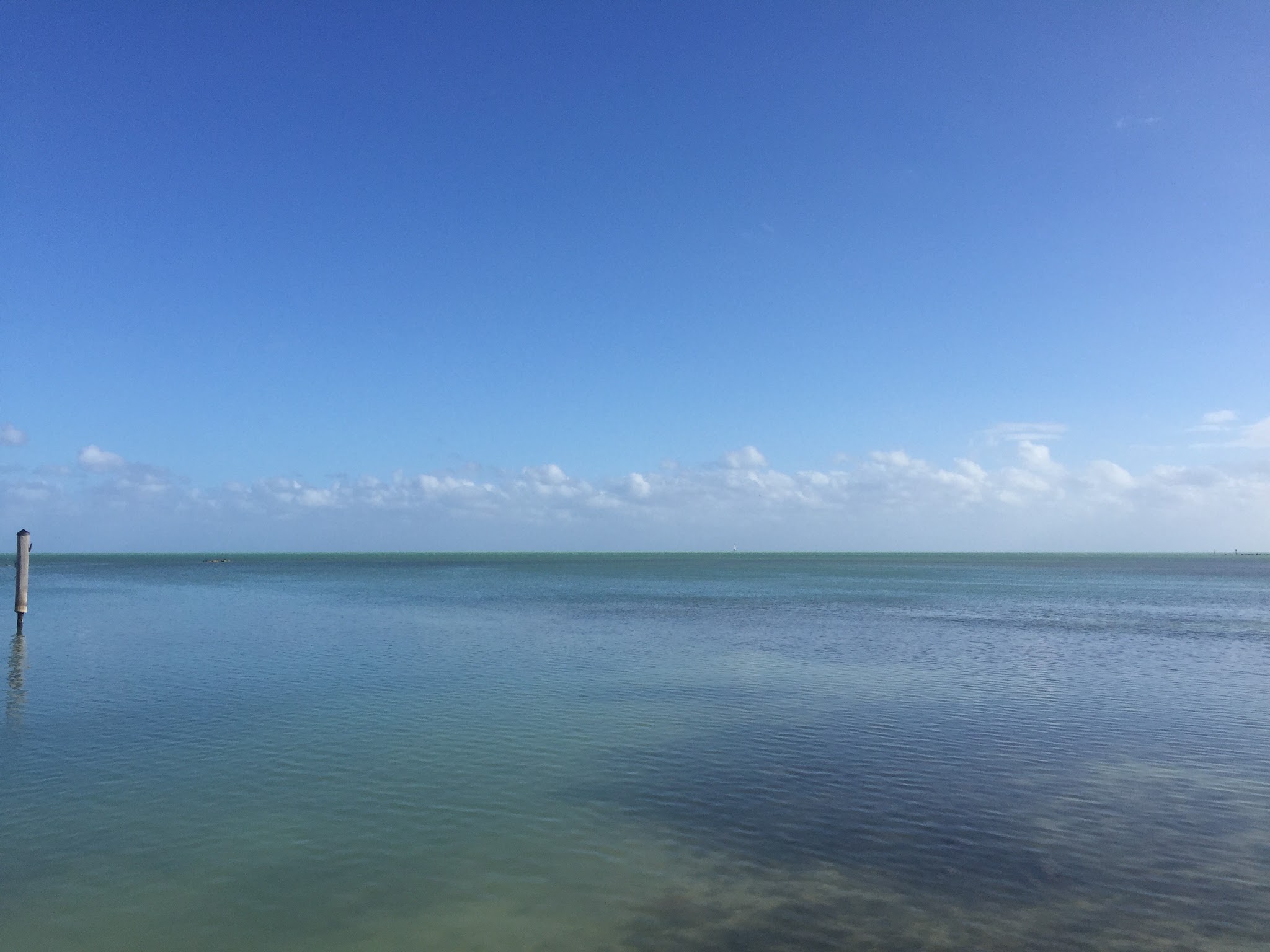 To the keys // Day 2 — image 3
