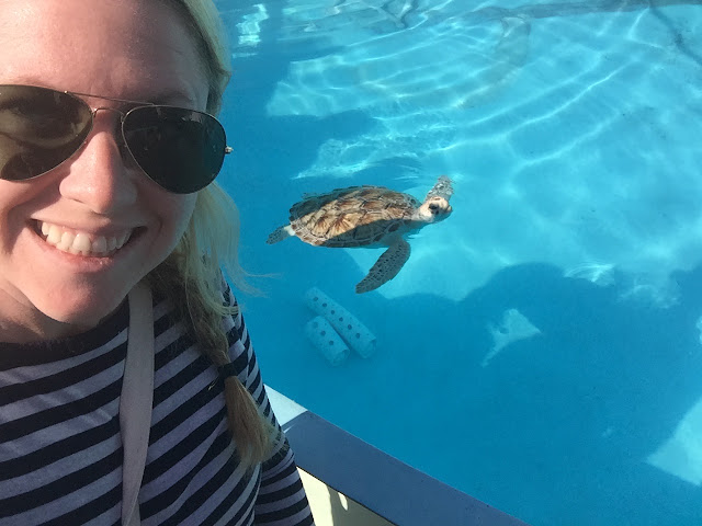 Turtle love // Day 3 — image 5