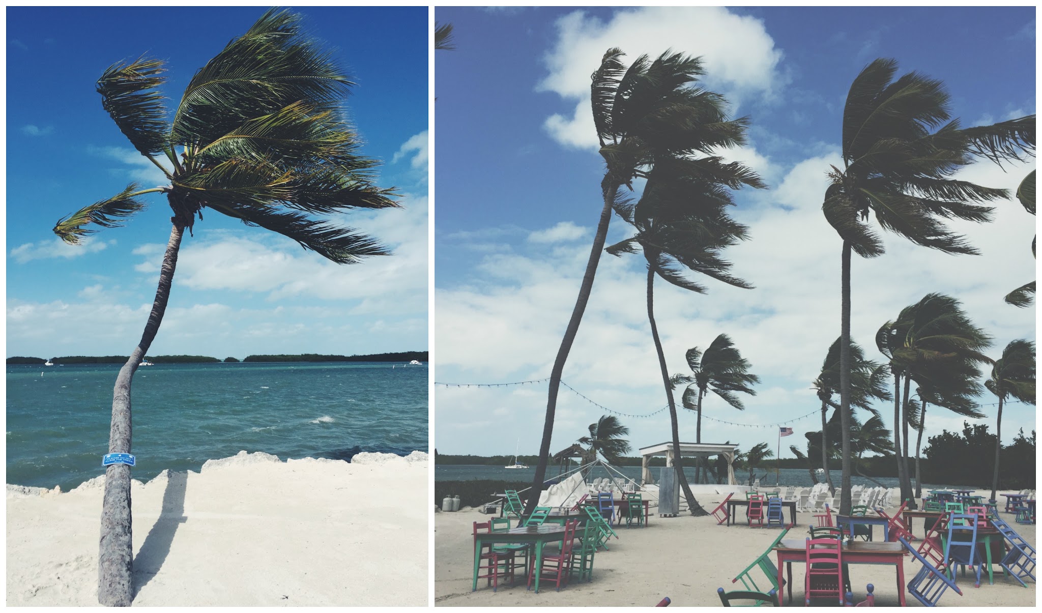 To the keys // Day 2 — image 4