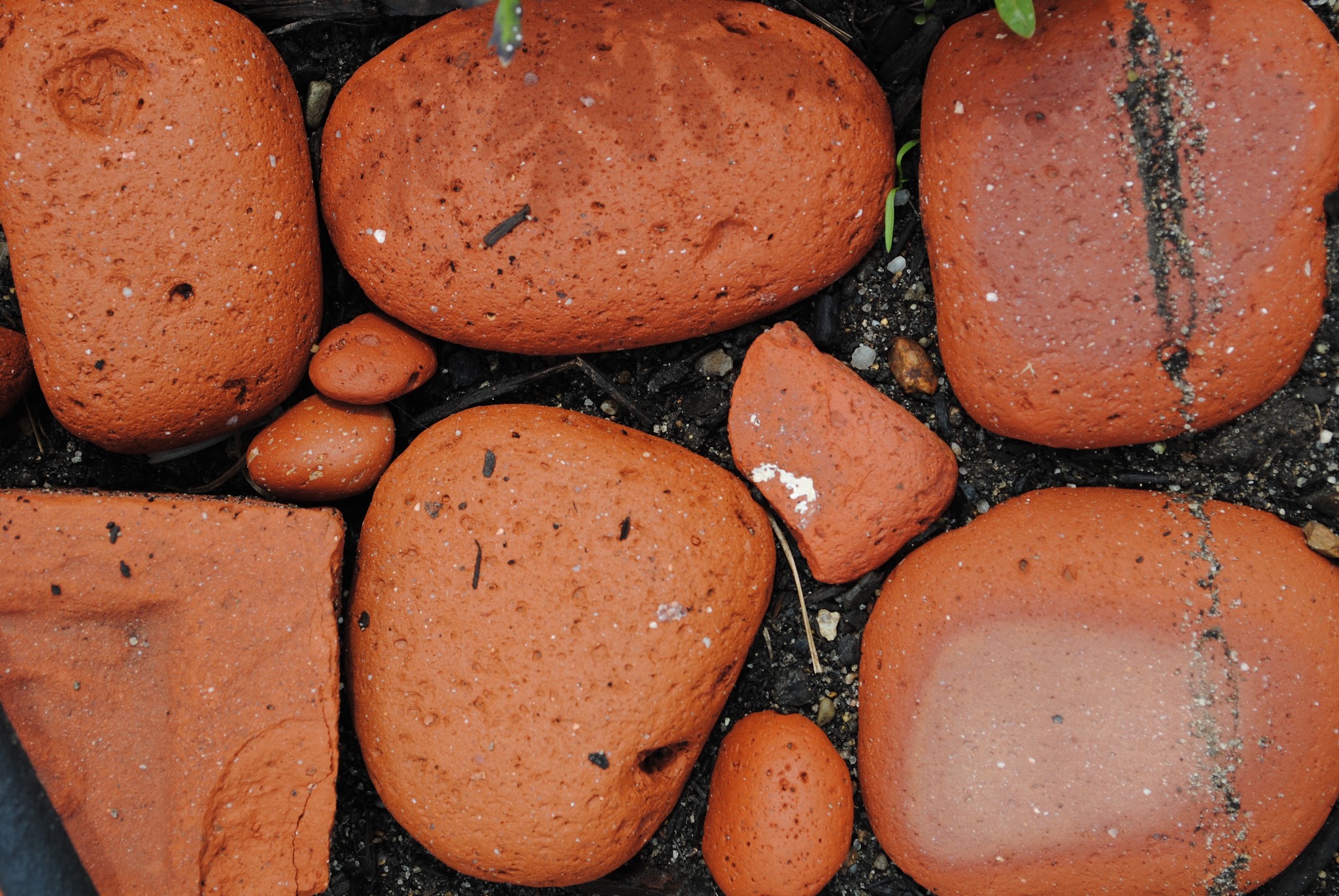 meet my garden — image 2