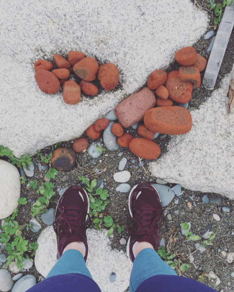 meet my garden — image 3
