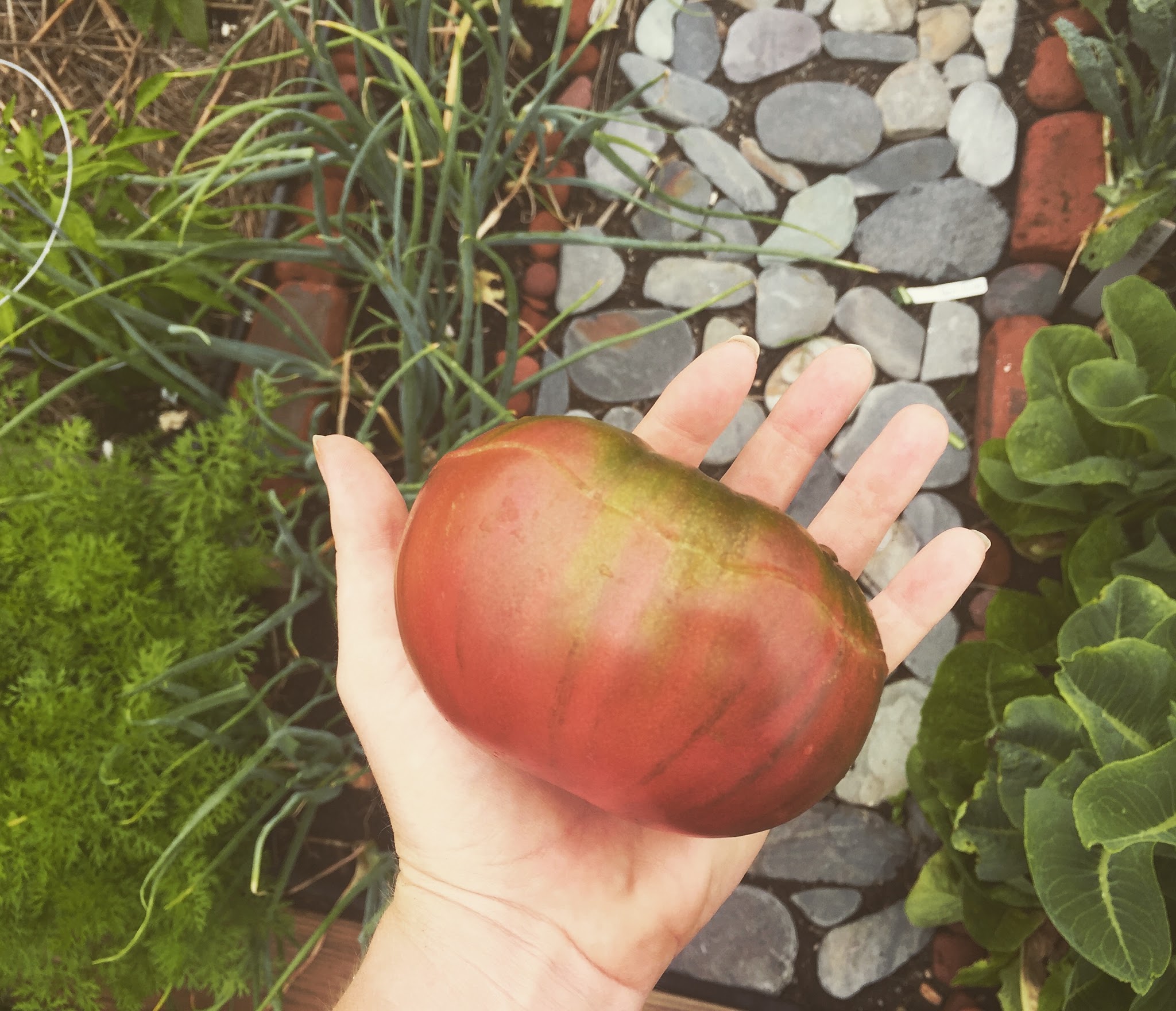 staycation city — image 18