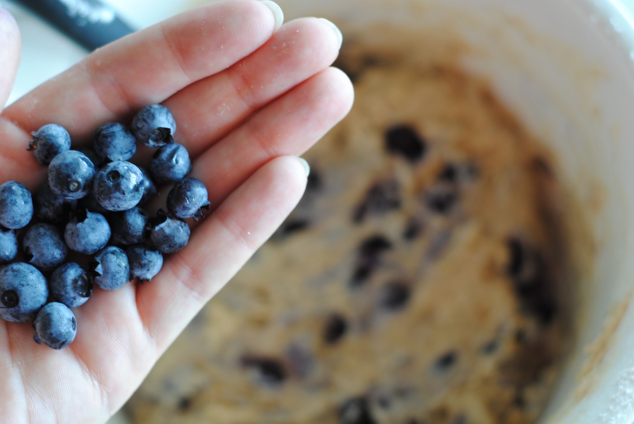 blueberry donuts — image 2