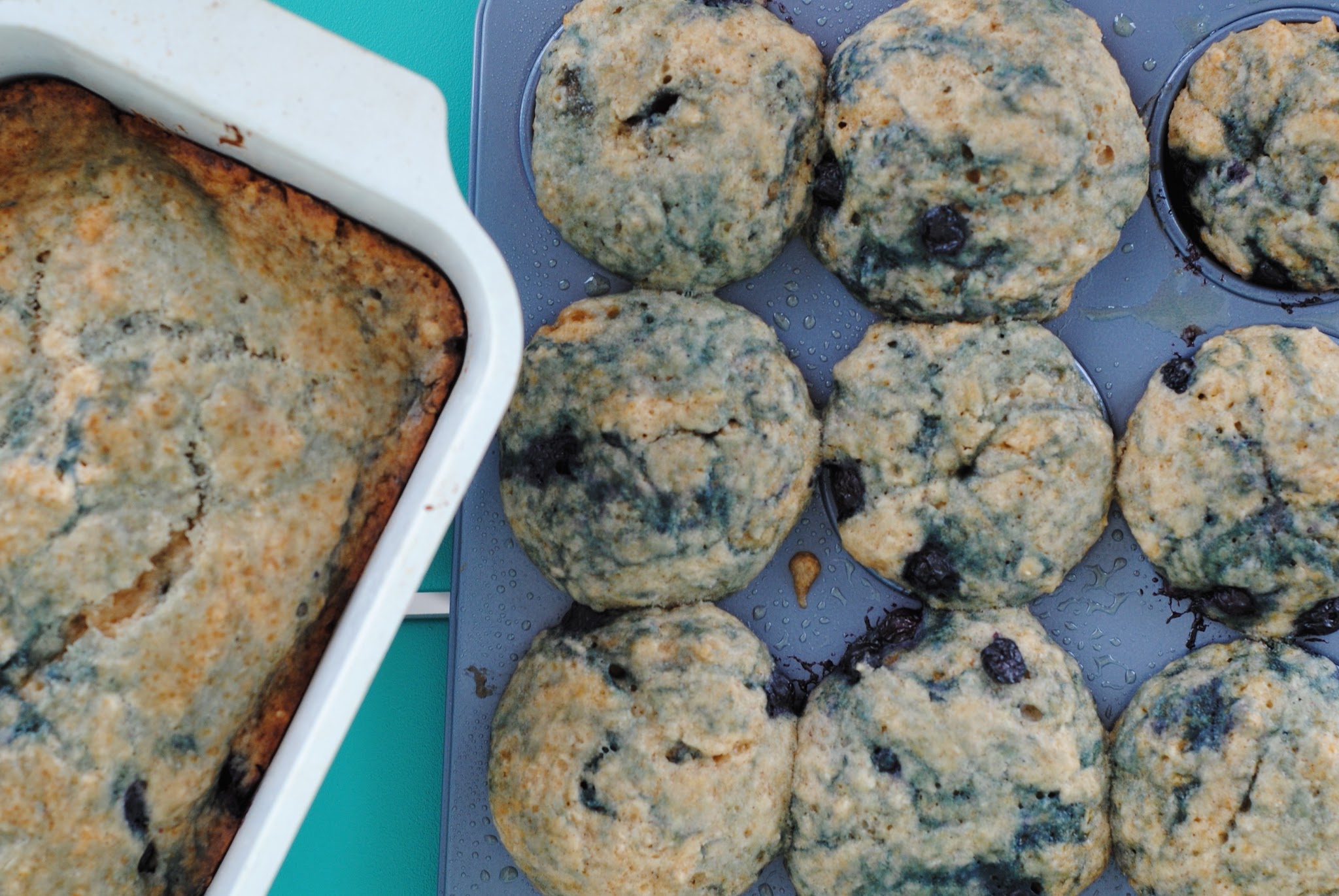 blueberry donuts — image 5