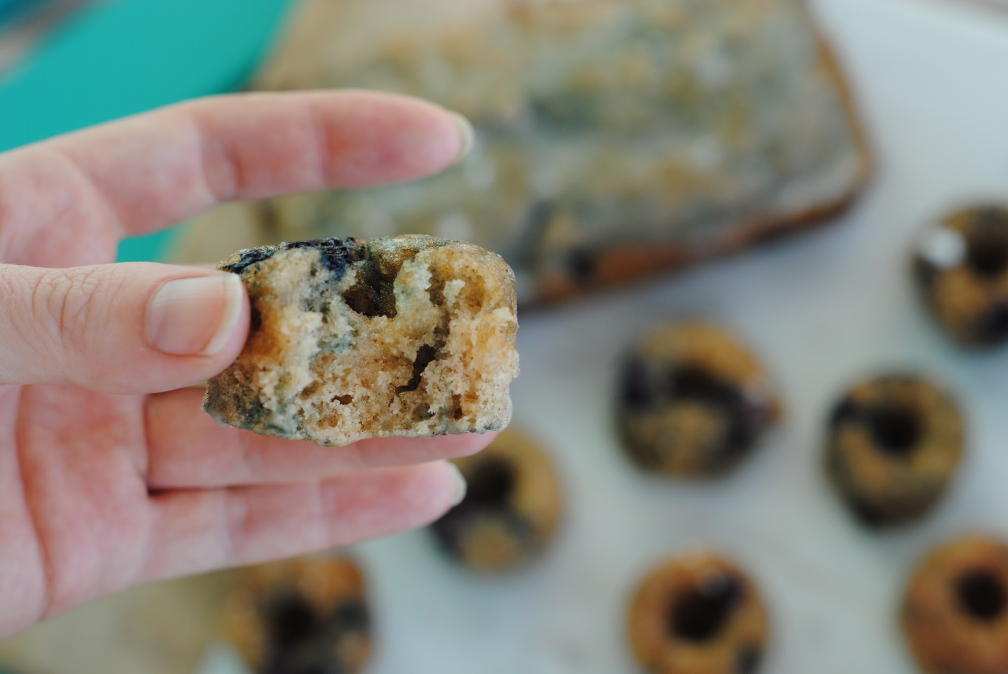 blueberry donuts — image 6