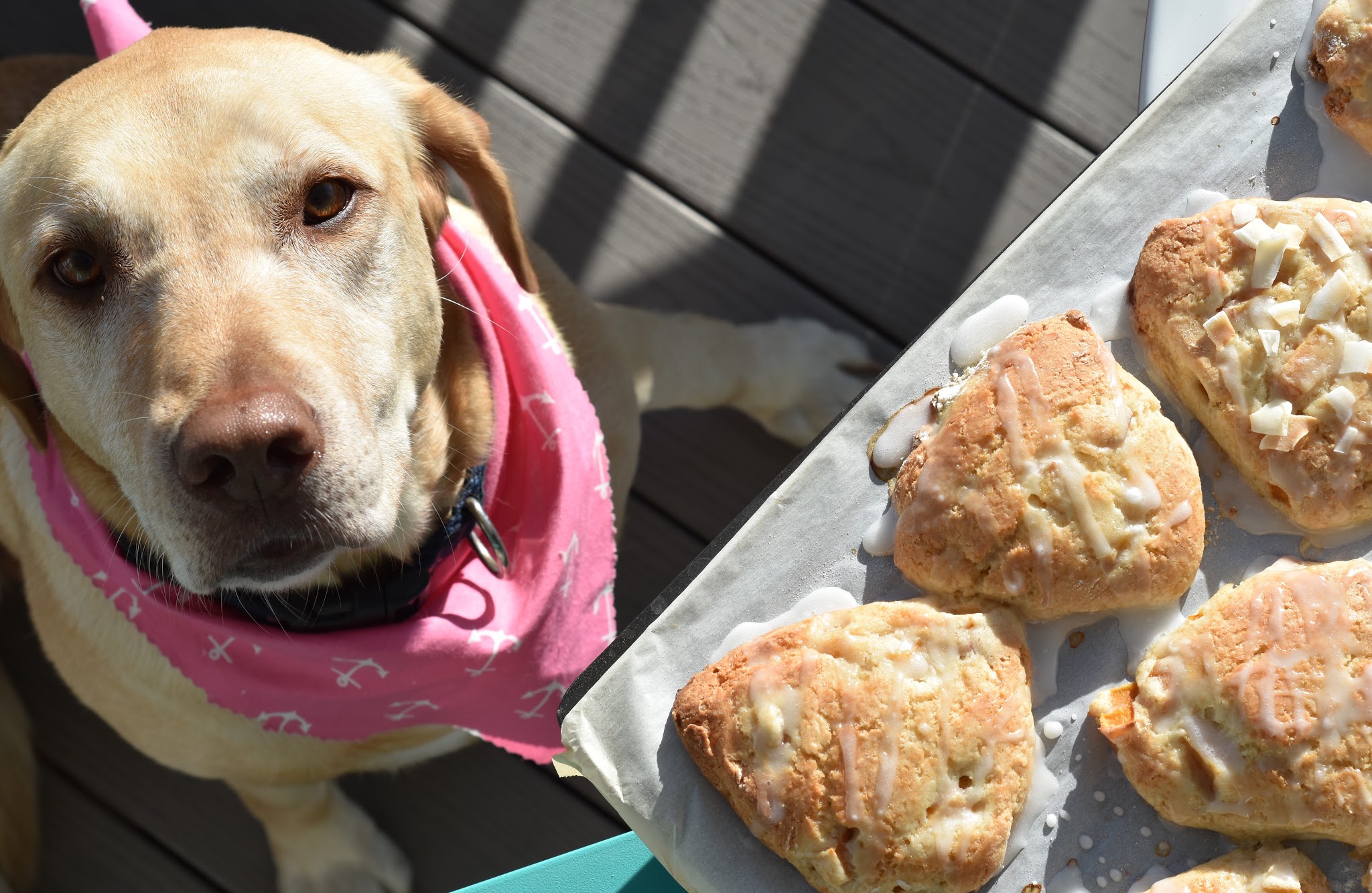 peach coconut scones