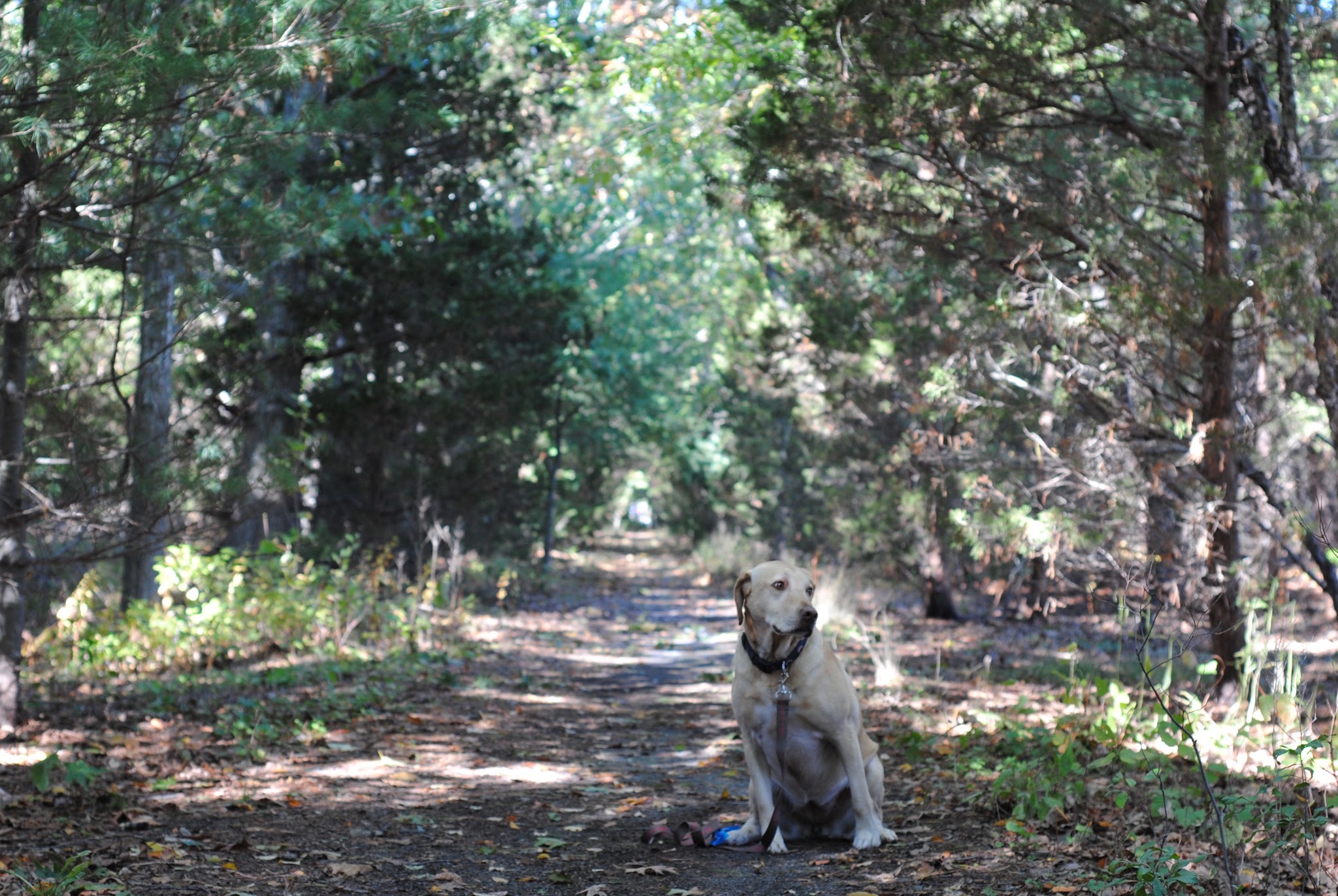 long weekends are the best weekends — image 7