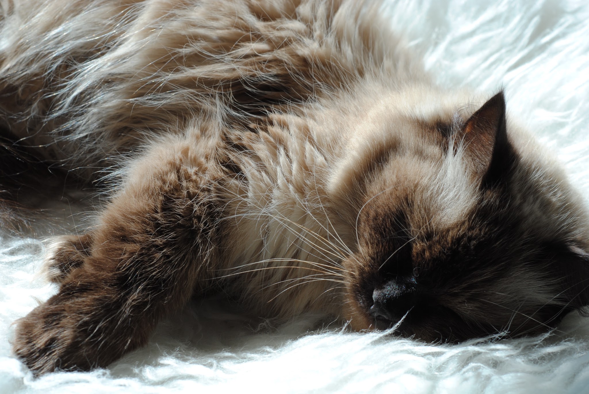 long weekends are the best weekends — image 11