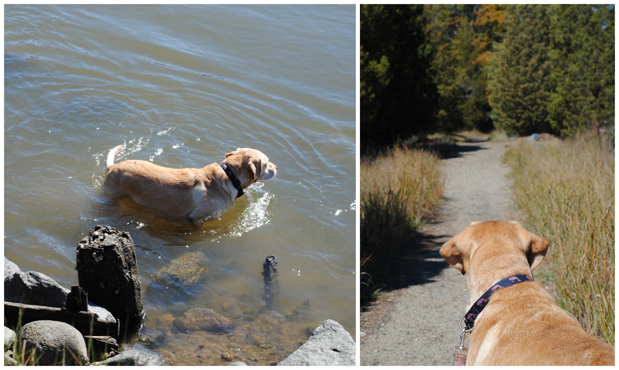 long weekends are the best weekends — image 8