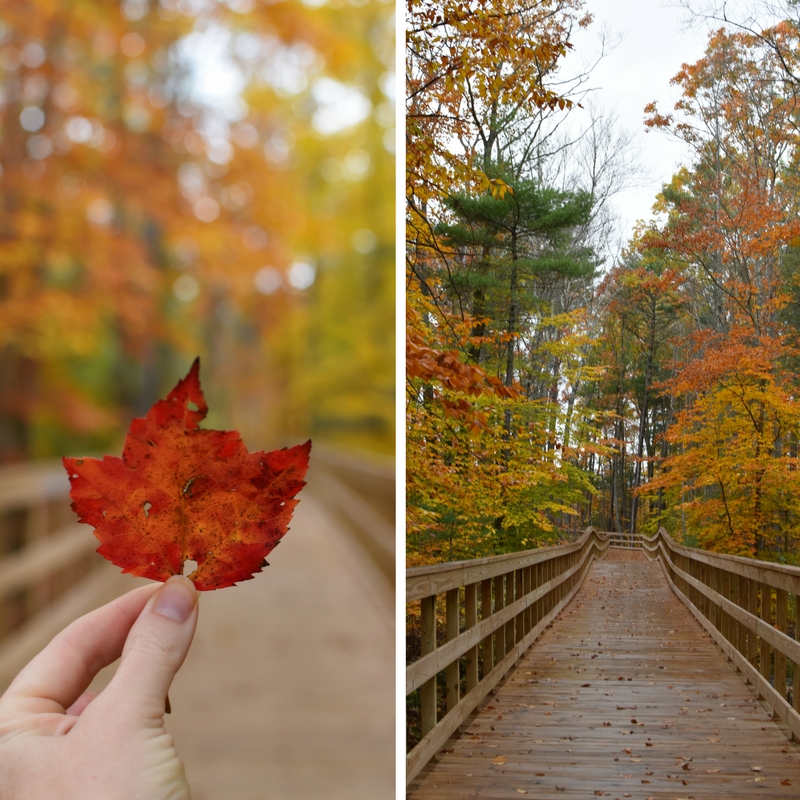 a new perfect trail — image 2