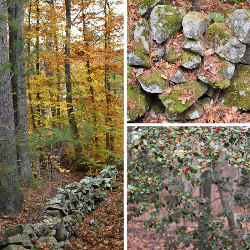 a new perfect trail — image 4