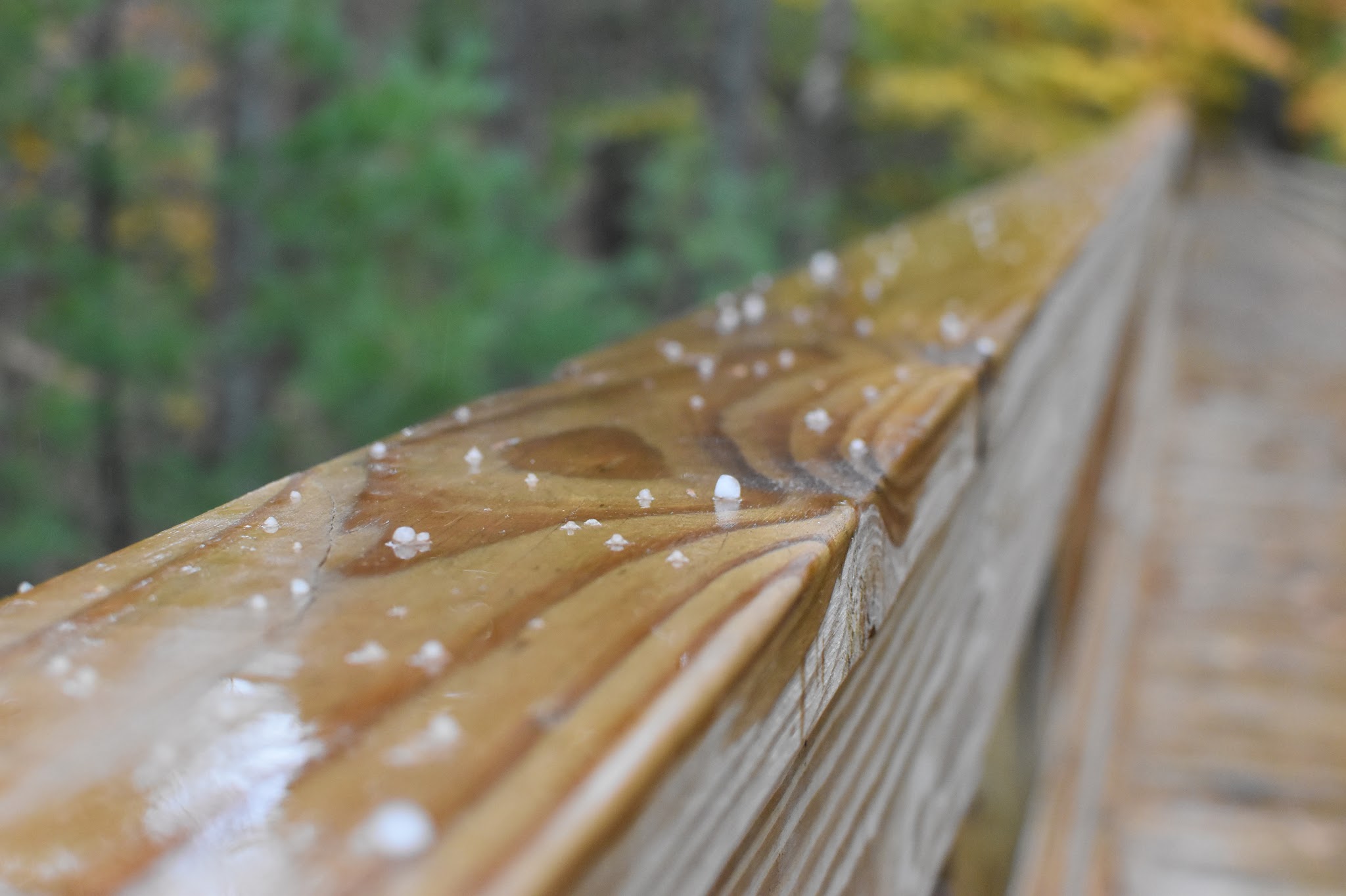 a new perfect trail — image 5