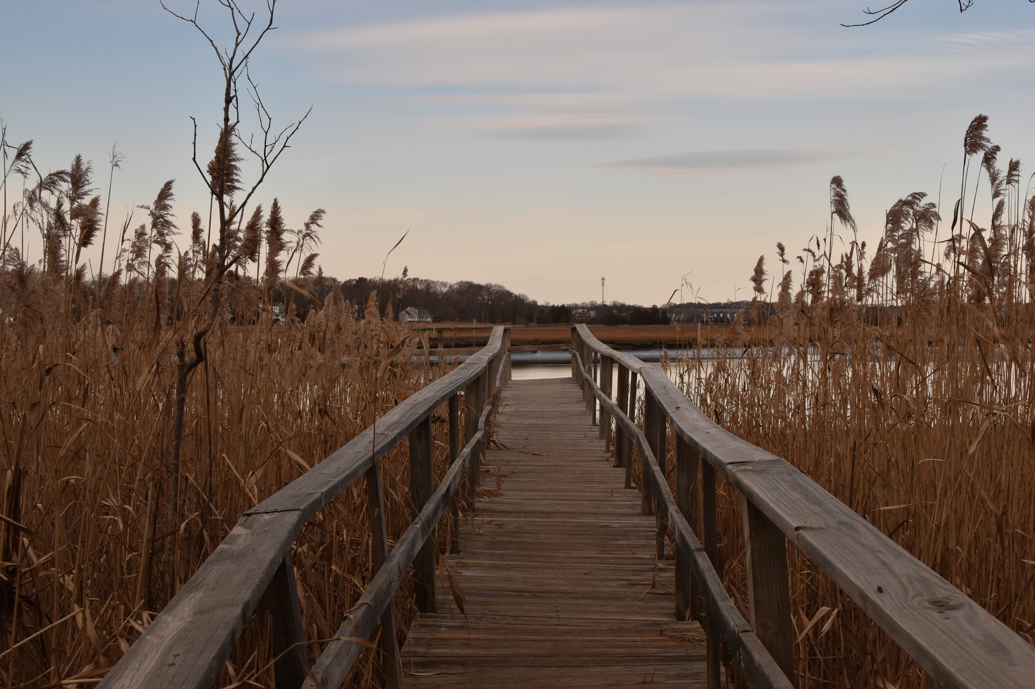 winter weekends — image 5