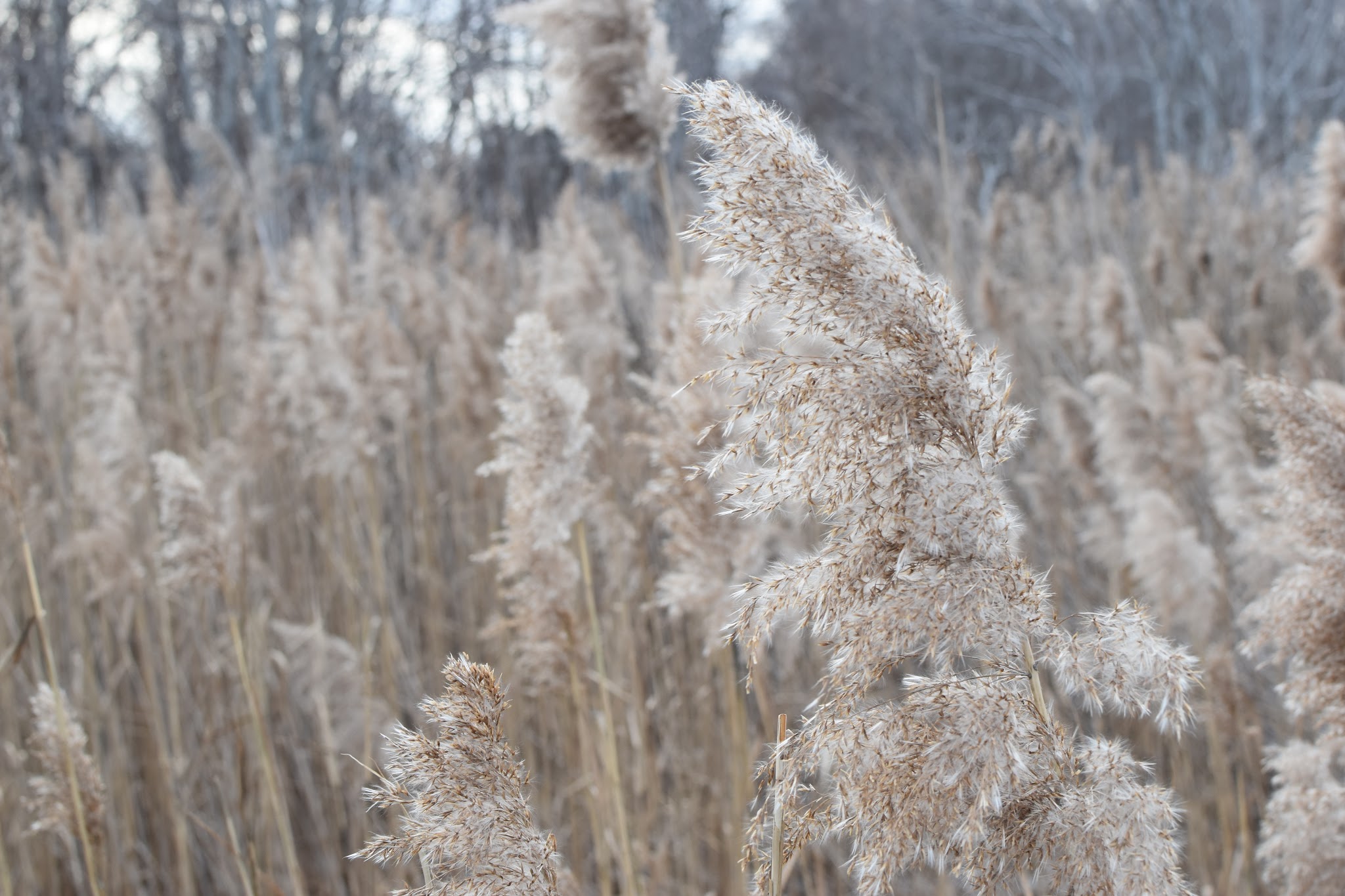 winter weekends — image 6