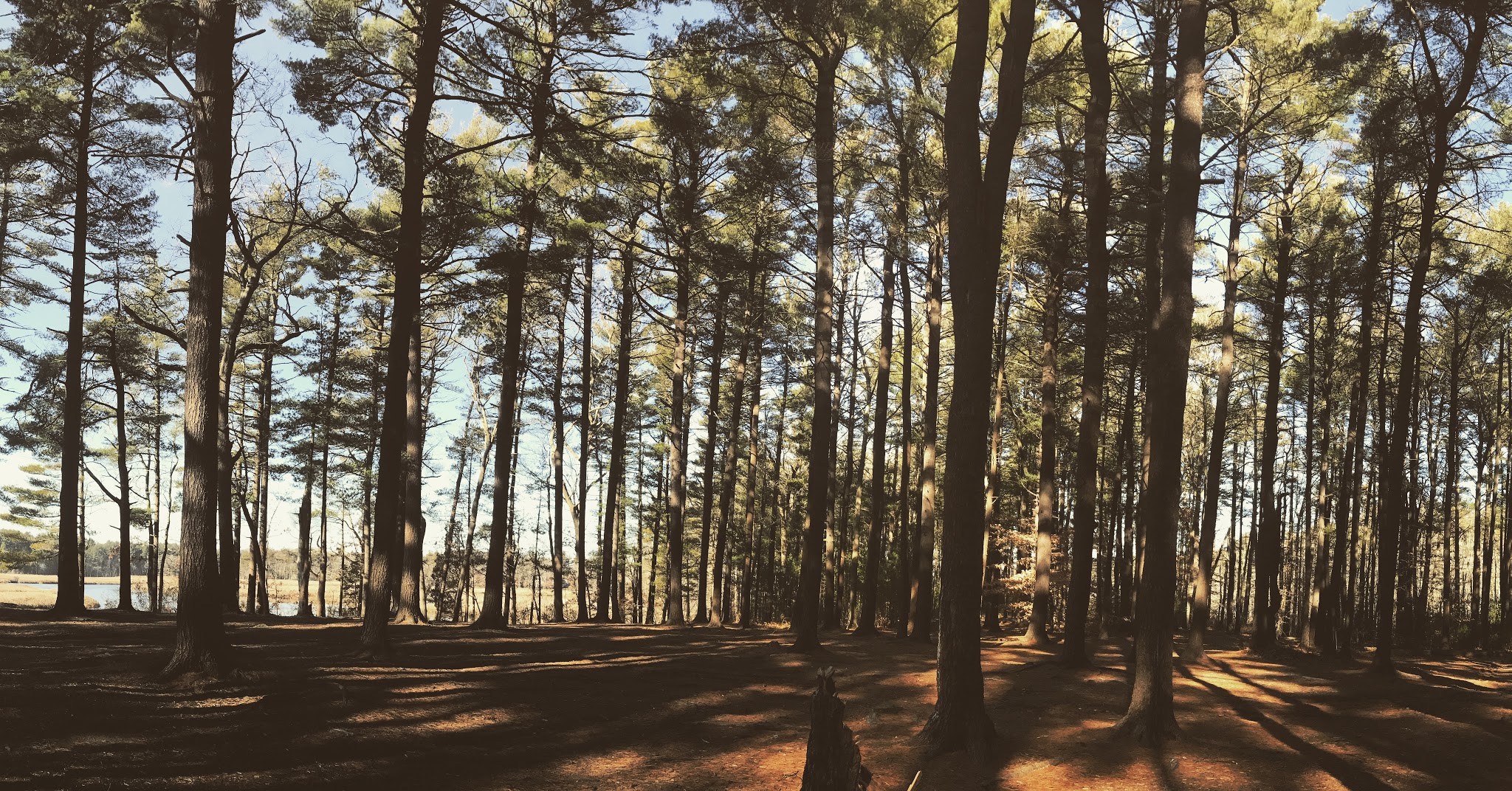 Pot of Gold — image 11