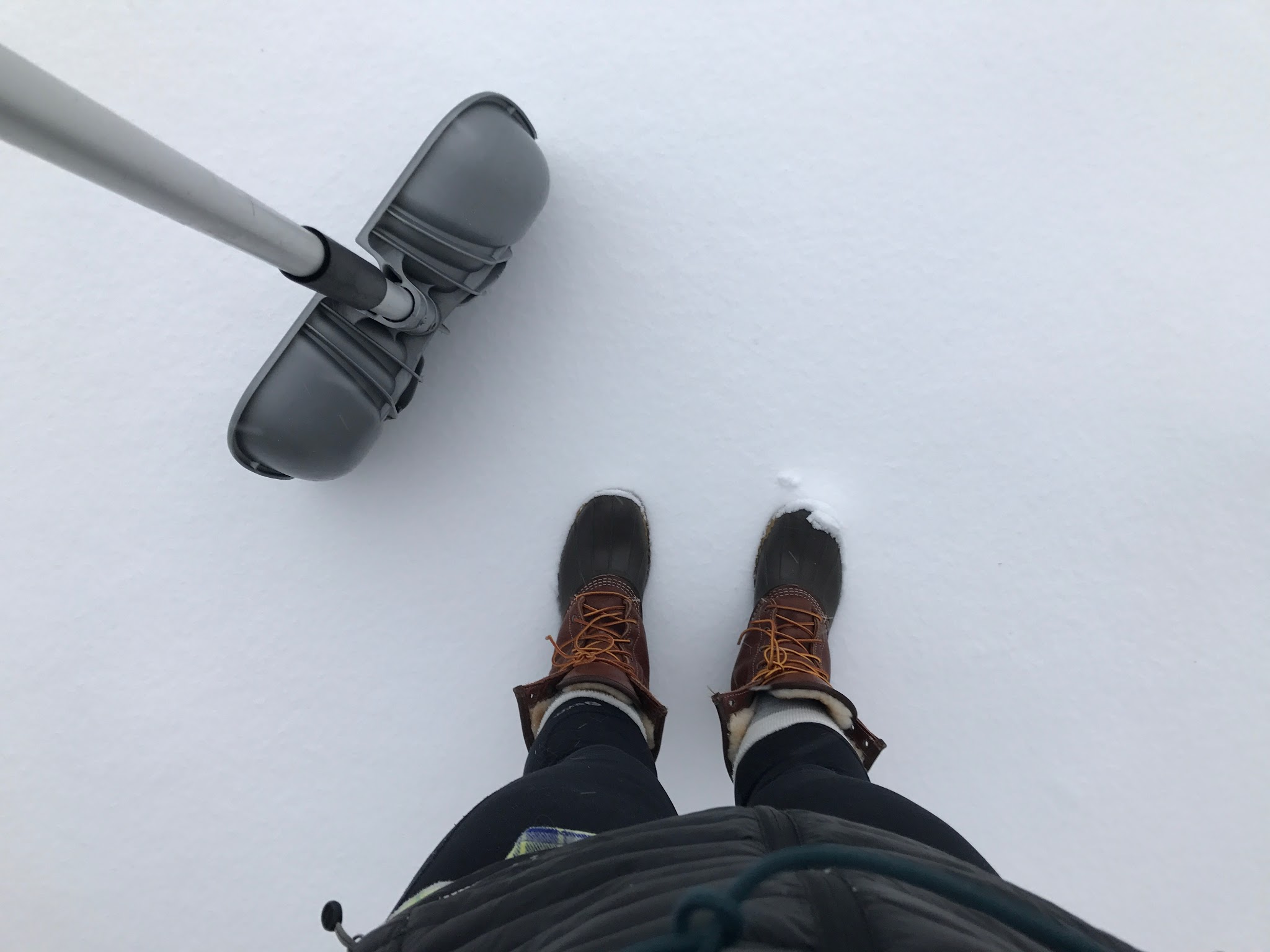 snowy february