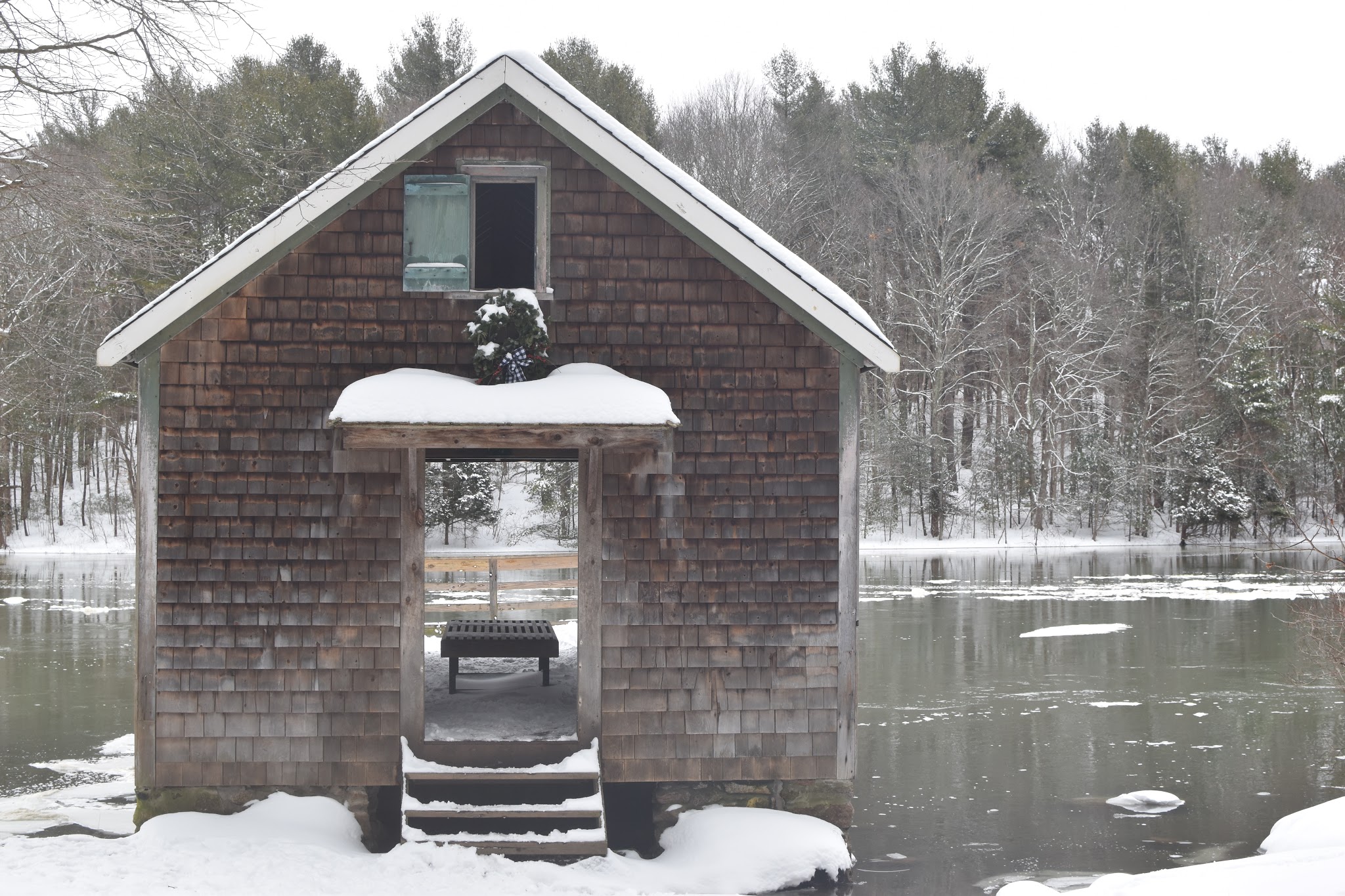 snowy february — image 6