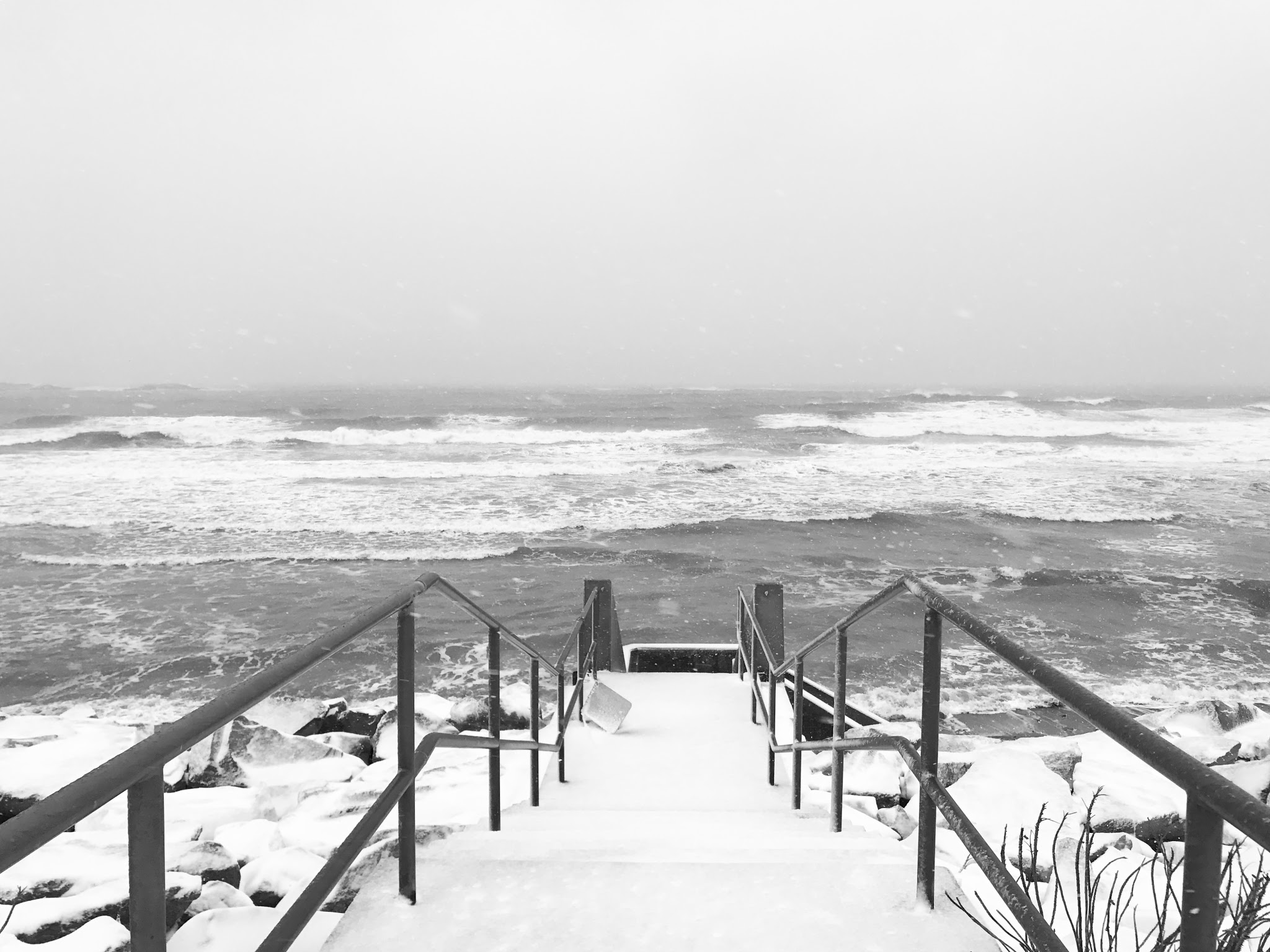 snowy february — image 3
