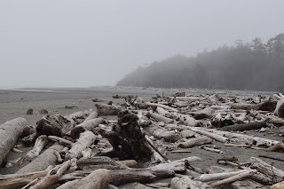 Deep forests + Driftwood // Day 1 — image 7
