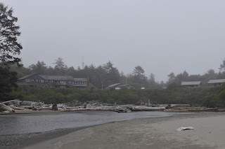 Deep forests + Driftwood // Day 1 — image 6