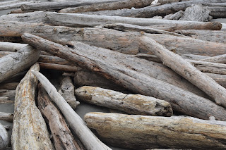 Deep forests + Driftwood // Day 1 — image 1
