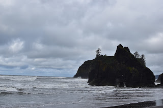 Beach + Rainforest + Waterfall + Lakes // Day 2 — image 6
