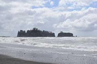 Beach + Rainforest + Waterfall + Lakes // Day 2 — image 17