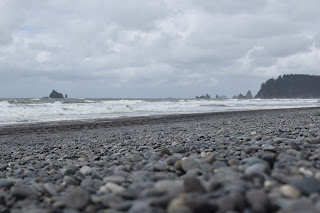 Beach + Rainforest + Waterfall + Lakes // Day 2 — image 19
