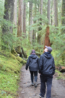 Beach + Rainforest + Waterfall + Lakes // Day 2 — image 20