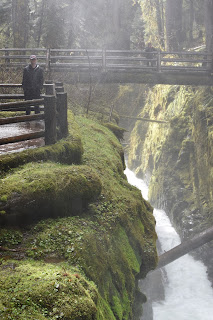 Beach + Rainforest + Waterfall + Lakes // Day 2 — image 24