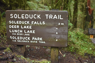 Beach + Rainforest + Waterfall + Lakes // Day 2 — image 21