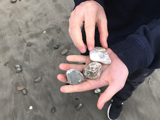 Deep forests + Driftwood // Day 1 — image 10