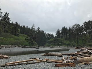 Beach + Rainforest + Waterfall + Lakes // Day 2 — image 7