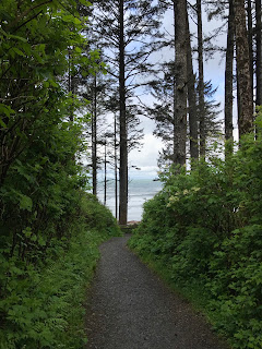 Beach + Rainforest + Waterfall + Lakes // Day 2 — image 8