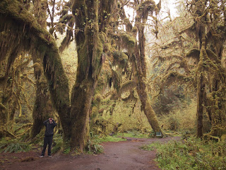 Beach + Rainforest + Waterfall + Lakes // Day 2 — image 1
