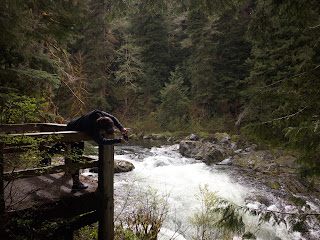 Beach + Rainforest + Waterfall + Lakes // Day 2 — image 22