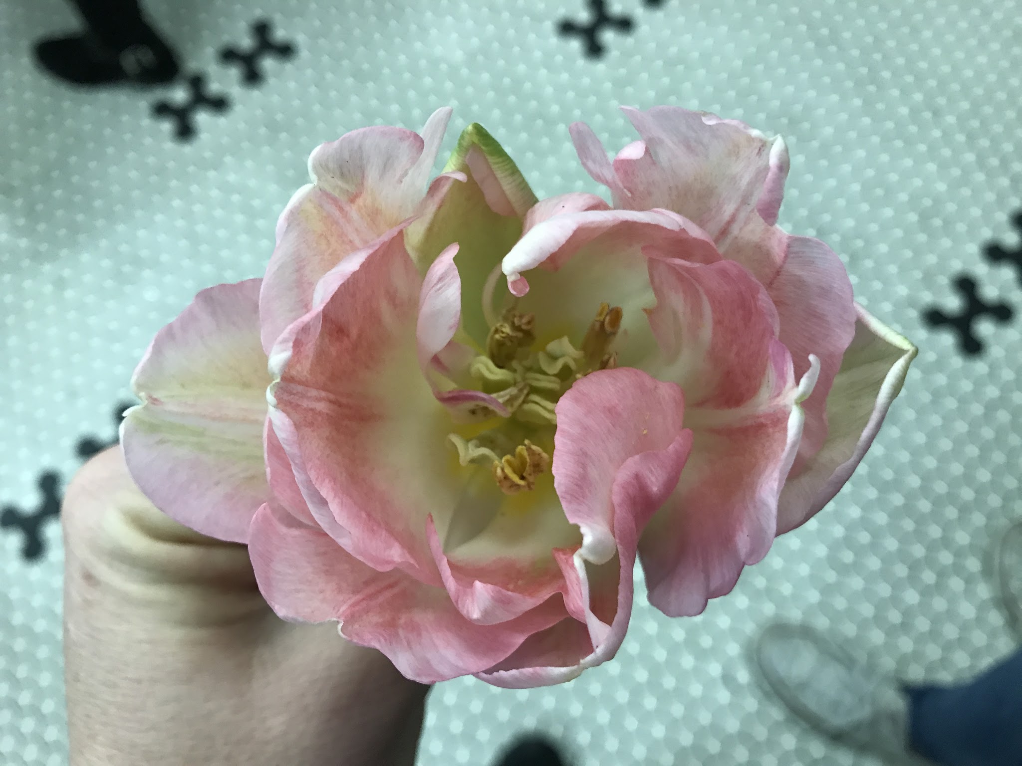 Flowers + Baseball + Glass Art // Day 4 — image 6
