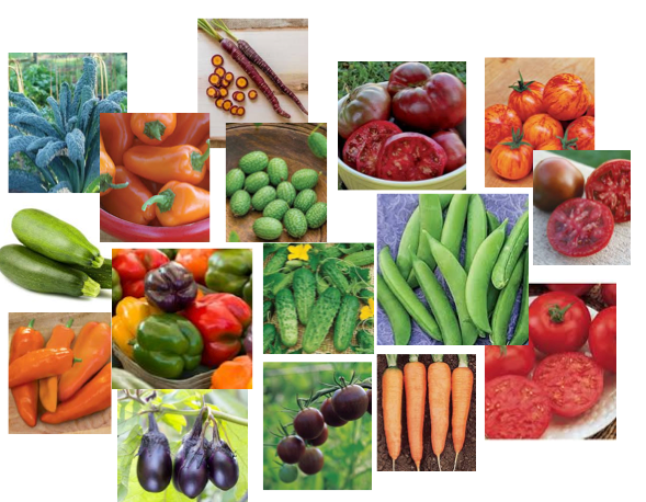 Making Garden Decisions — image 3