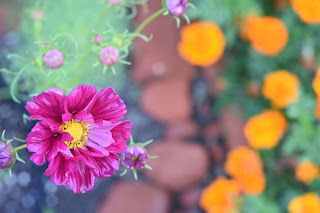 green tomato garden party — image 9
