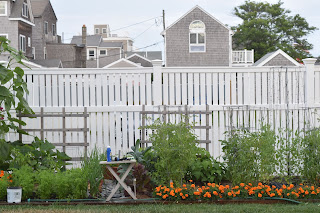 green tomato garden party — image 11