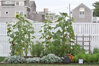 green tomato garden party — image 8