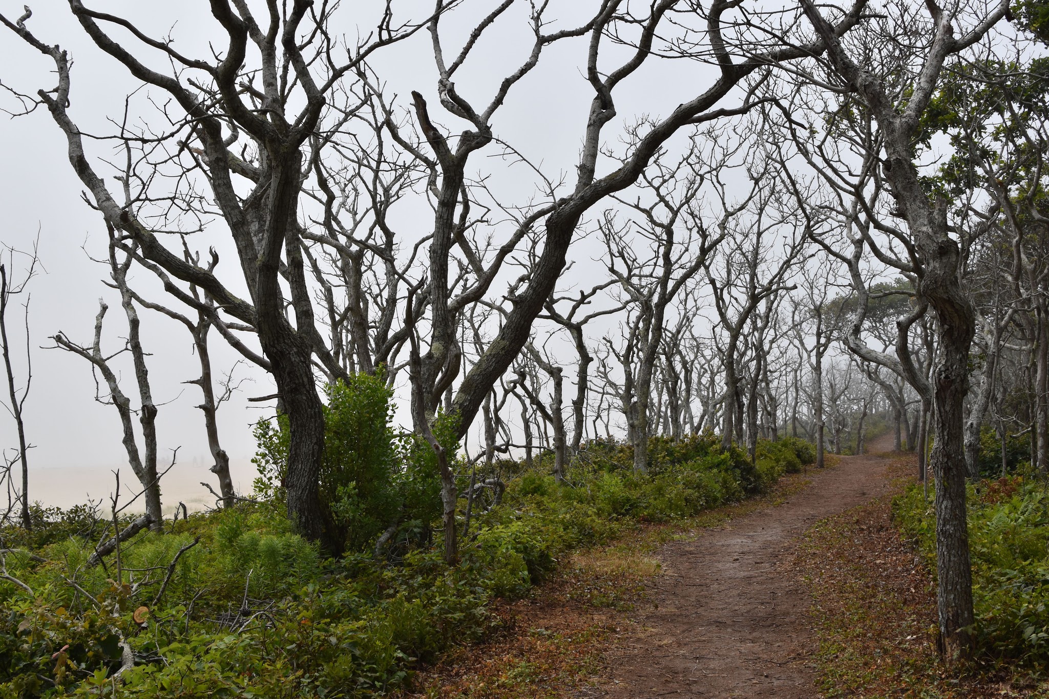 10 hours on Martha's Vineyard — image 3