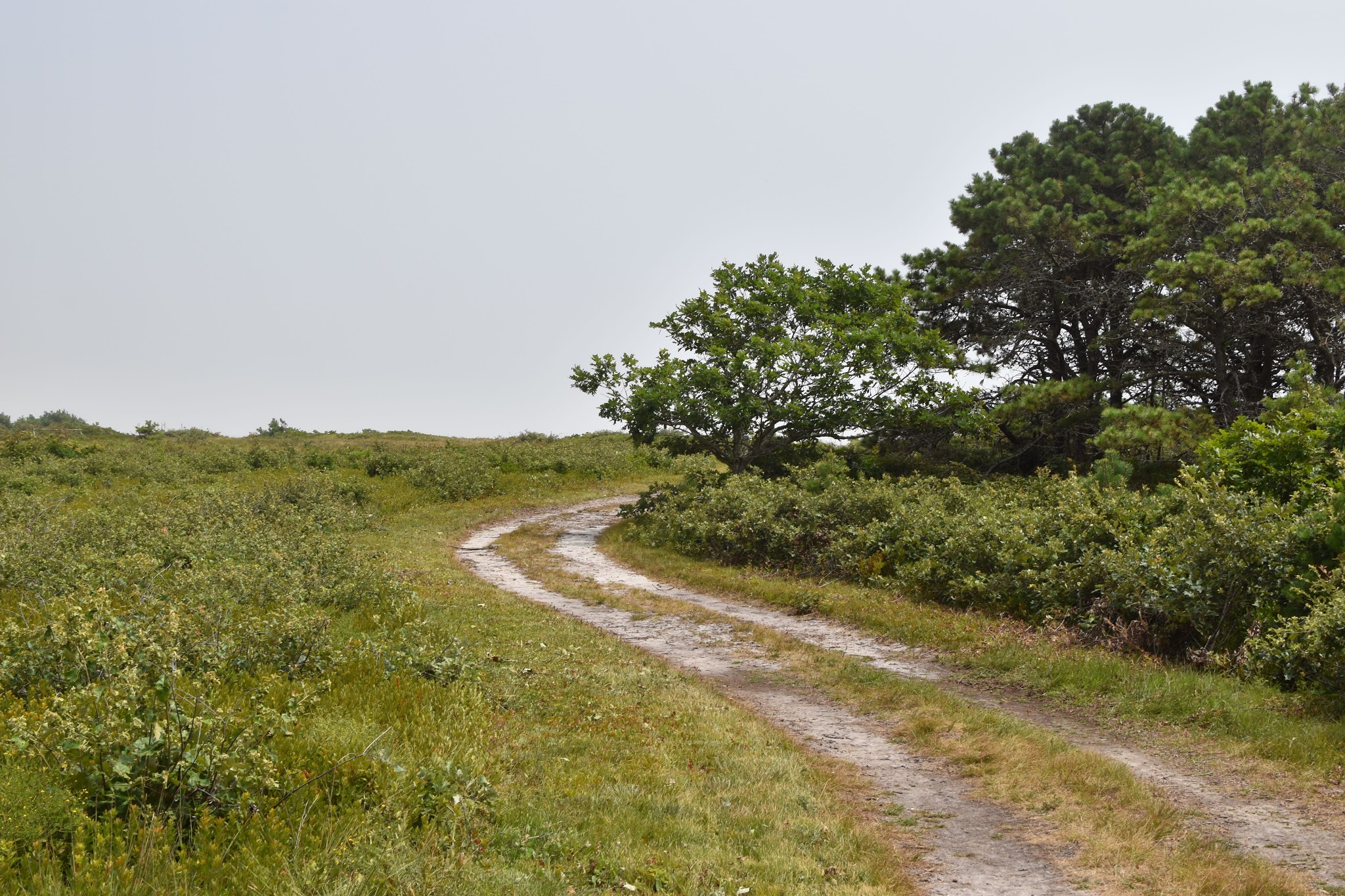 10 hours on Martha's Vineyard — image 5