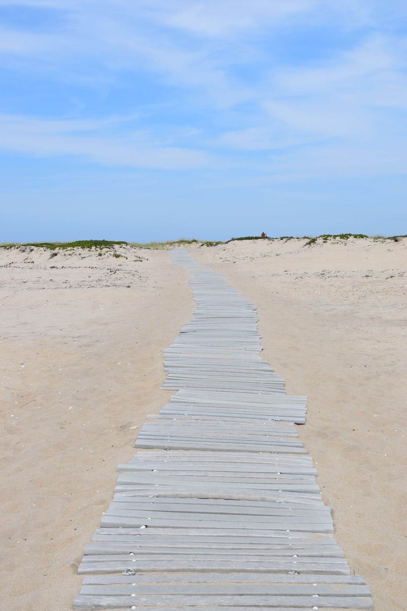 10 hours on Martha's Vineyard — image 6